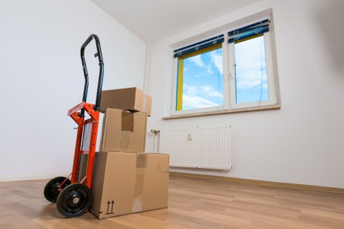Eco-friendly moving practices in action